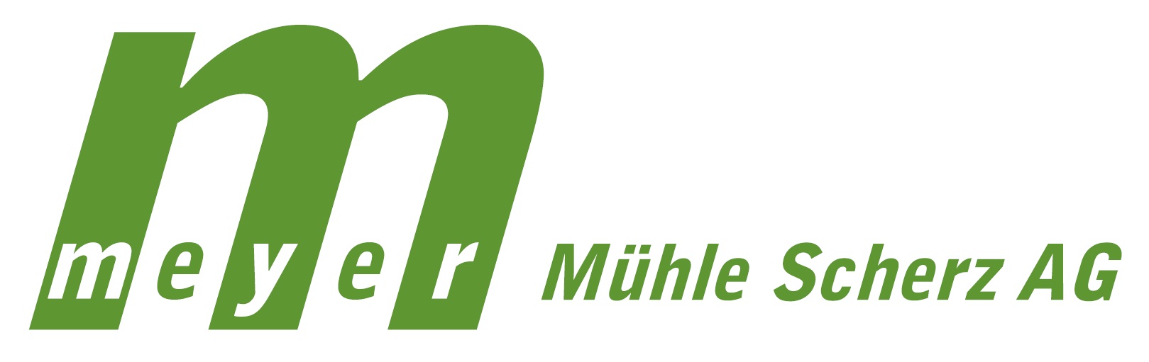 kirschensteine.ch logo