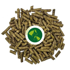 Pferdesnacks TCM Finde die Mitte